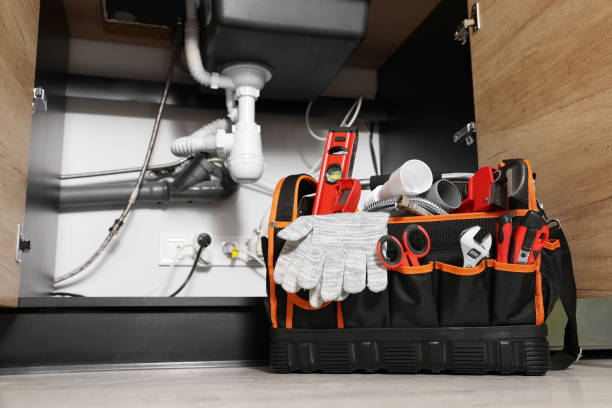 Best Plumbing Inspection Services  in St Peter, MN